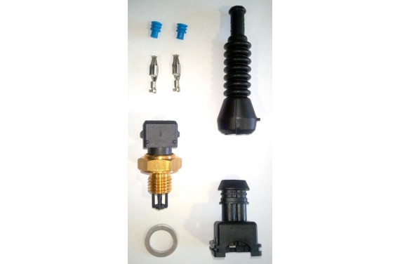 Sonde température d'air, M12x150