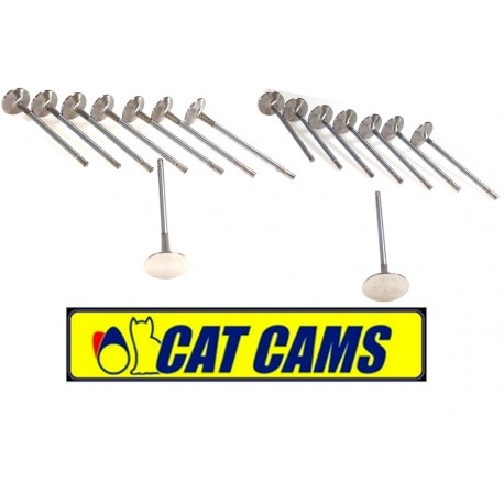 Kit 16 Soupapes forgées pour TU5J4 106 S16, Saxo VTS