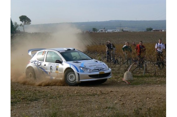 Protège carter kevlar AC SPORT PEUGEOT 206 TERRE