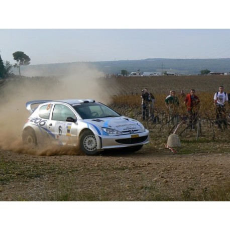 Protège carter kevlar AC SPORT PEUGEOT 206 TERRE