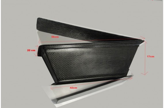 Boîte à air carbone AC SPORT pour RENAULT CLIO II RS F2000 4 papillons