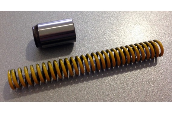 Ressort + piston de pompe à huile PSA XU (6 bars)