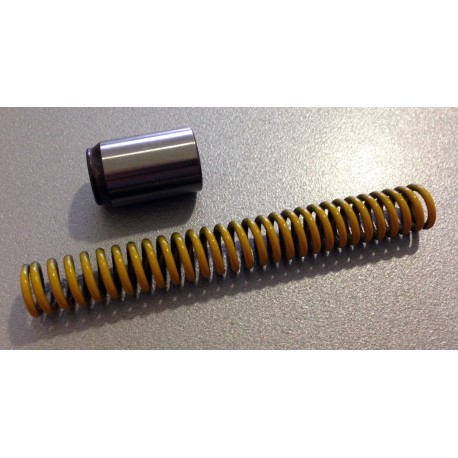 Ressort + piston de pompe à huile PSA XU (6 bars)