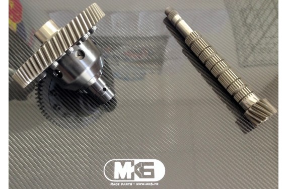 Autobloquant à disques type ZF + couple court CITROEN AX/ C2/ SAXO boîte MA) 