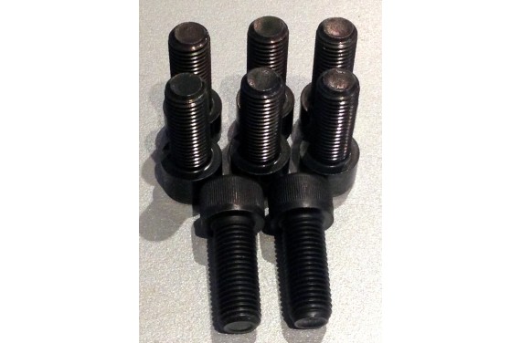 Jeu de 8 vis courte pour volant moteur monomasse S50B30/B32