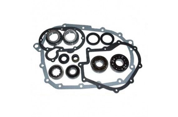 Kit réfection de boite à vitesse pour Ford Fiesta XR2 boite BC 