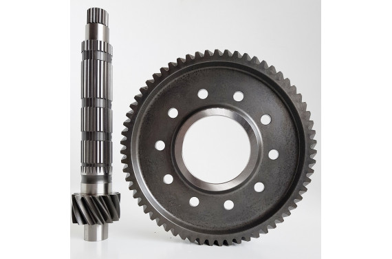 Couple court CLIO williams-RS.