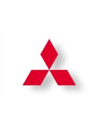 Mitsubishi Couple court